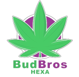 bud-bros-hexa-logo